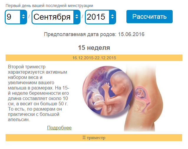 Бебиблог рассчитать срок беременности